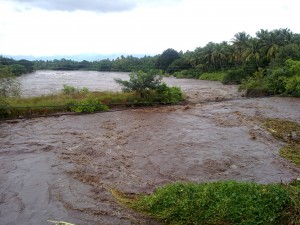 Chittur Puzha Overflowing