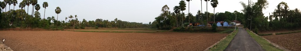 tattamangalam panorama