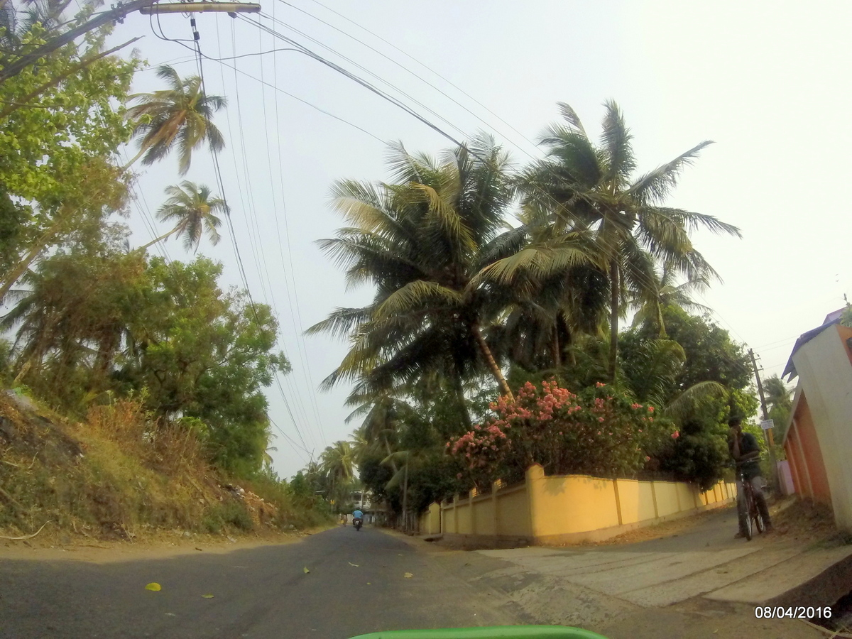 Navukode tattamangalam