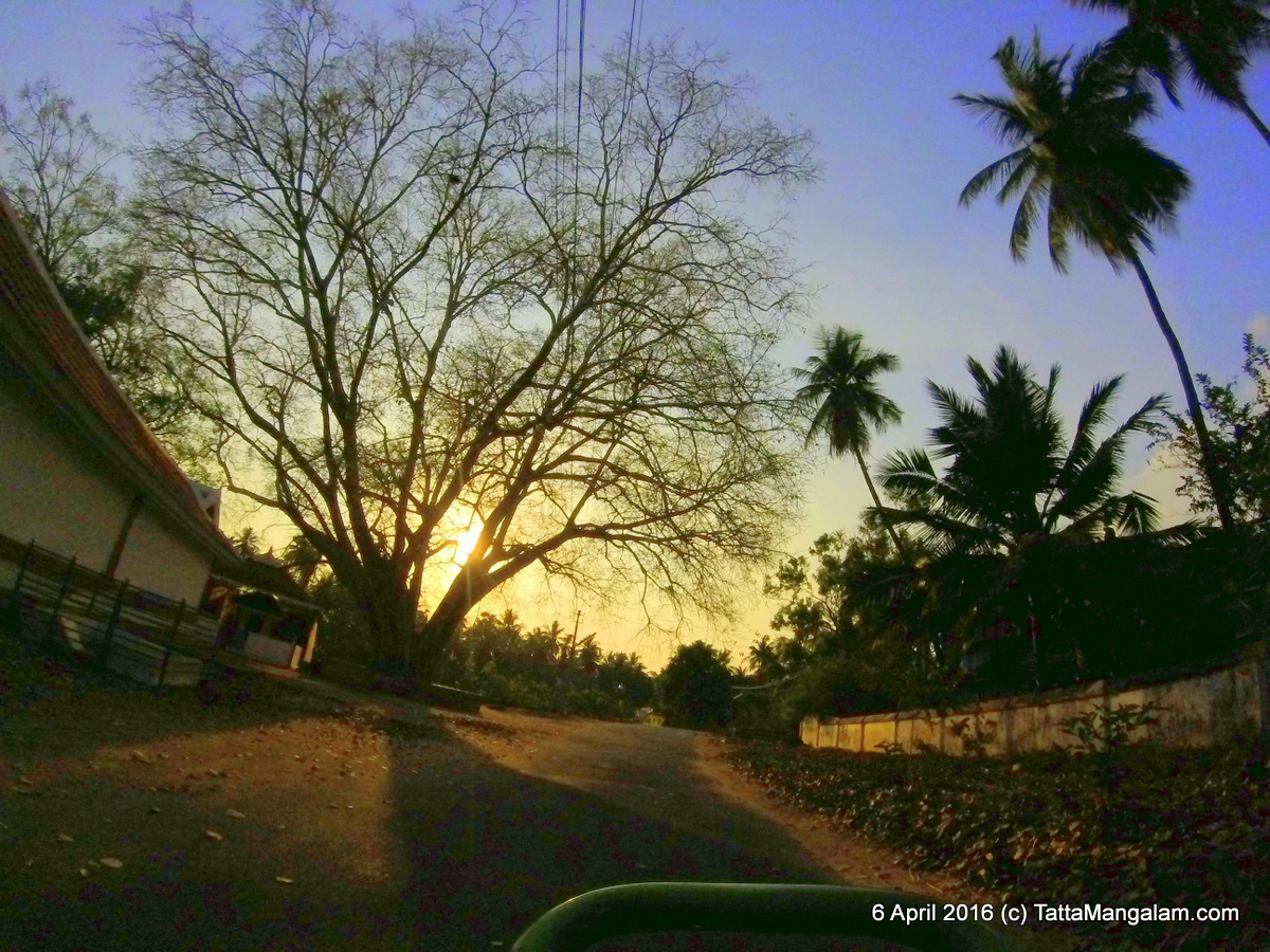 Mannathu kavu