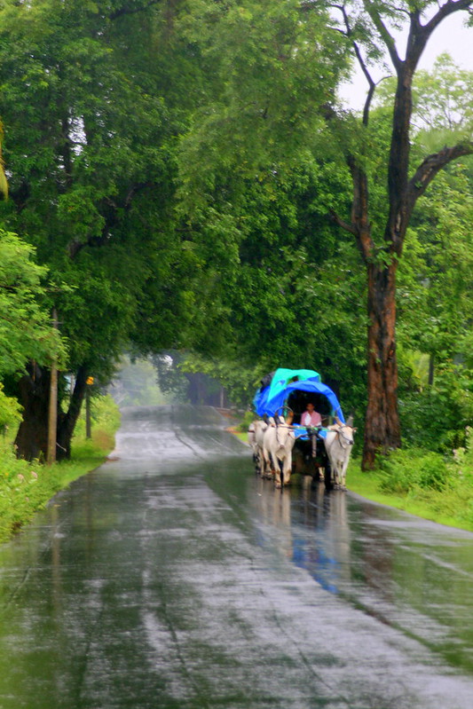 kerala monsoon rains