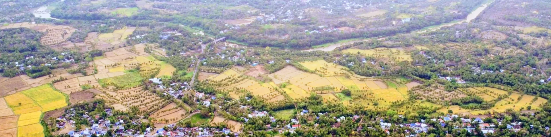 തത്തമംഗലം ഡോട്ട് കോം. TattaMangalam.com 