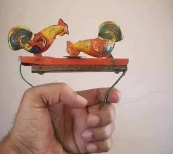 Two Cocks In One Toy
