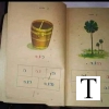 Thara Para