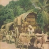Kerala_images_of_a_gone_era_1632398579557