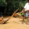 Kerala_images_of_a_gone_era_1632398706058