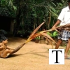 Kerala_images_of_a_gone_era_1632398706058