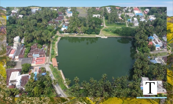 aerial_view_pond_tropical_village