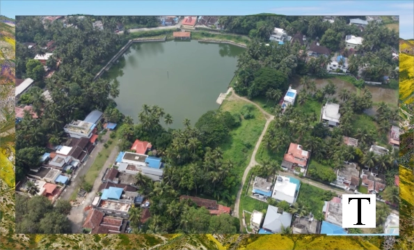 aerial_view_tropical_residential_area