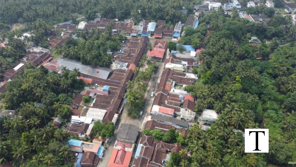 aerial_view_tropical_village