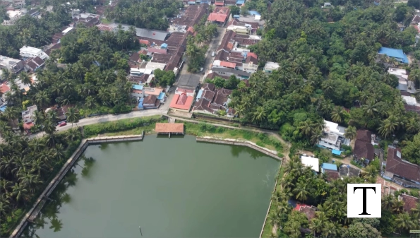 aerial_view_village_pond