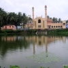 2009-images-tattamangalam_0096