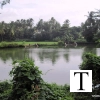 2009-images-tattamangalam_0100