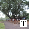 2009-images-tattamangalam_0192