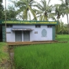 2009-images-tattamangalam_0195