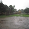 2009-images-tattamangalam_0206