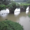 2009-images-tattamangalam_0215