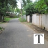 2009-images-tattamangalam_0255