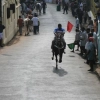 2007-kuthiravela-angadivela_1072-small-