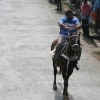 2007-kuthiravela-angadivela_1073-small-
