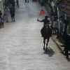 2007-kuthiravela-angadivela_1074-small-
