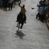 2007-kuthiravela-angadivela_1090-small-