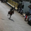 2007-kuthiravela-angadivela_1103-small-