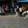 2007-kuthiravela-angadivela_1108-small-