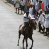 2007-kuthiravela-angadivela_1123-small-