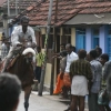 2007-kuthiravela-angadivela_1132-small-