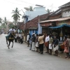 2007-kuthiravela-angadivela_1147-small-