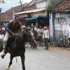 2007-kuthiravela-angadivela_1154-small-