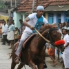 2007-kuthiravela-angadivela_1162-small-