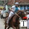 2007-kuthiravela-angadivela_1162-small-