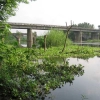 sokanasin-river-chittur