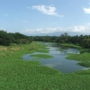 chittur-puzha1