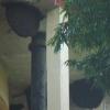 water-tank-bee