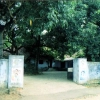 ayur