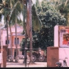 chenthamara_jpg