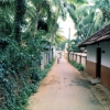 kadavalav