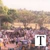 market2_jpg