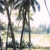 perumkulam_jpg